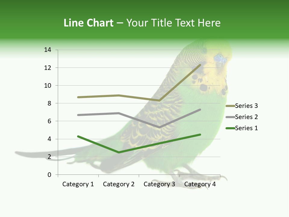Beak Backgrounds Pets PowerPoint Template