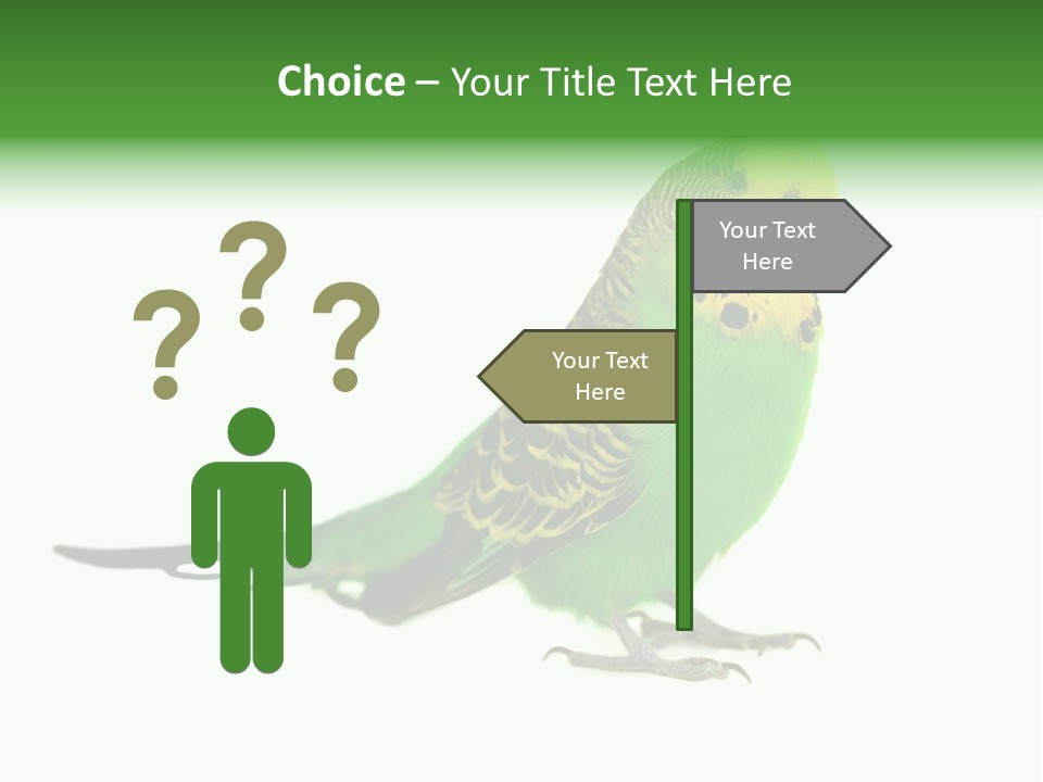 Beak Backgrounds Pets PowerPoint Template