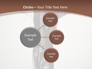 Flexibility Posing Boy PowerPoint Template