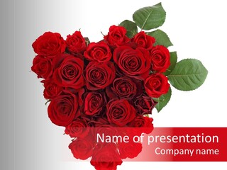 Heart Valentin Isolated PowerPoint Template