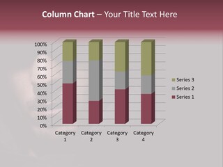 Background Security Skeptical PowerPoint Template