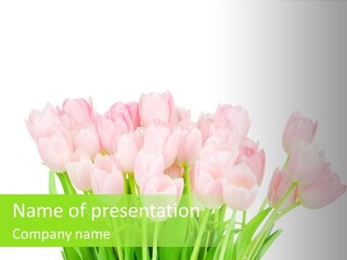 Nature Greeting Color PowerPoint Template