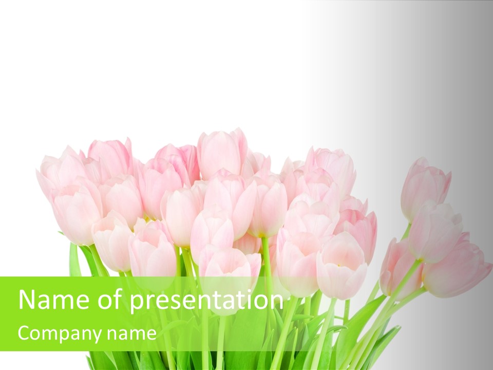 Nature Greeting Color PowerPoint Template