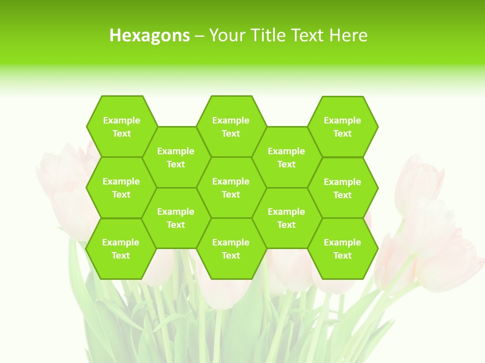 Nature Greeting Color PowerPoint Template