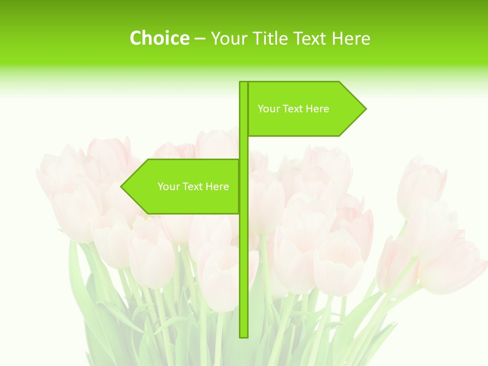 Nature Greeting Color PowerPoint Template