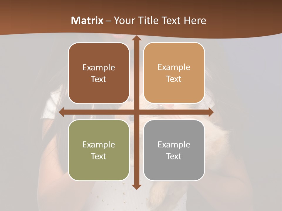 Fashion Domestic Symbol PowerPoint Template