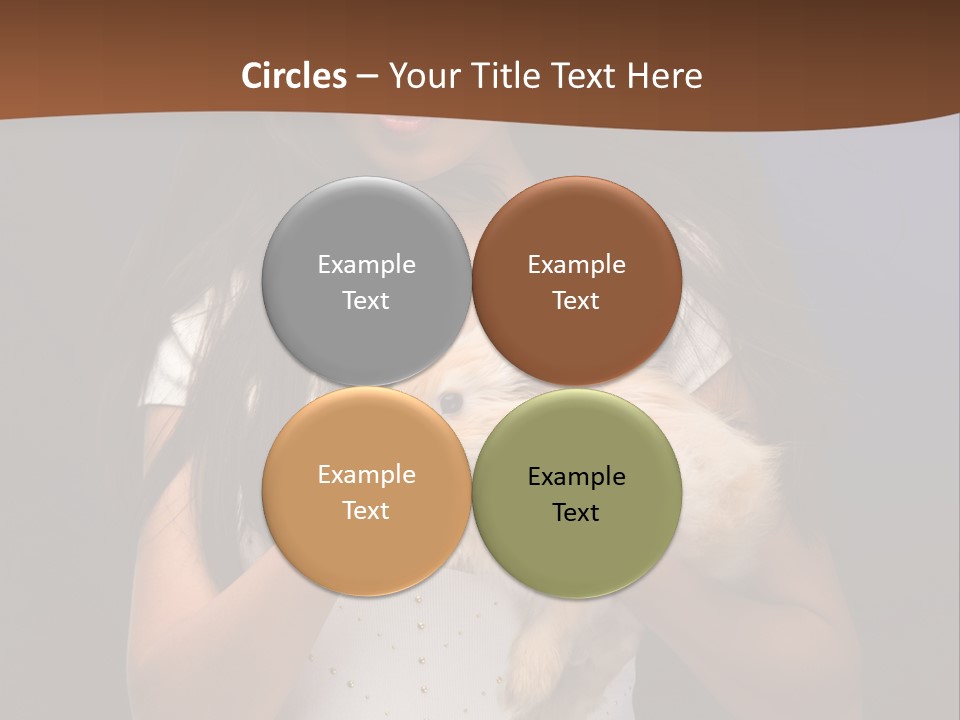 Fashion Domestic Symbol PowerPoint Template