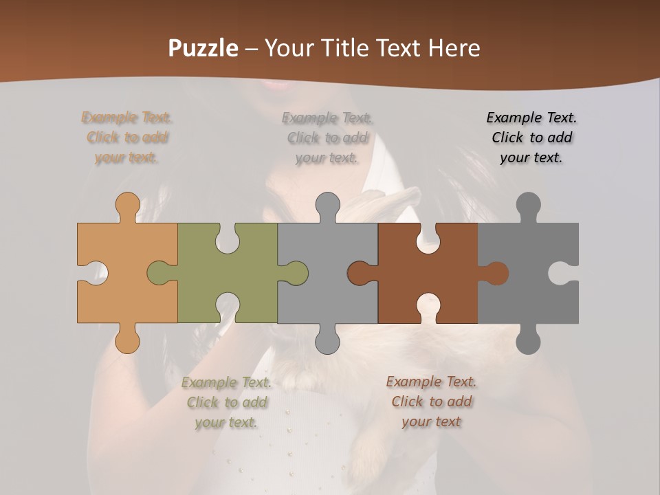 Fashion Domestic Symbol PowerPoint Template