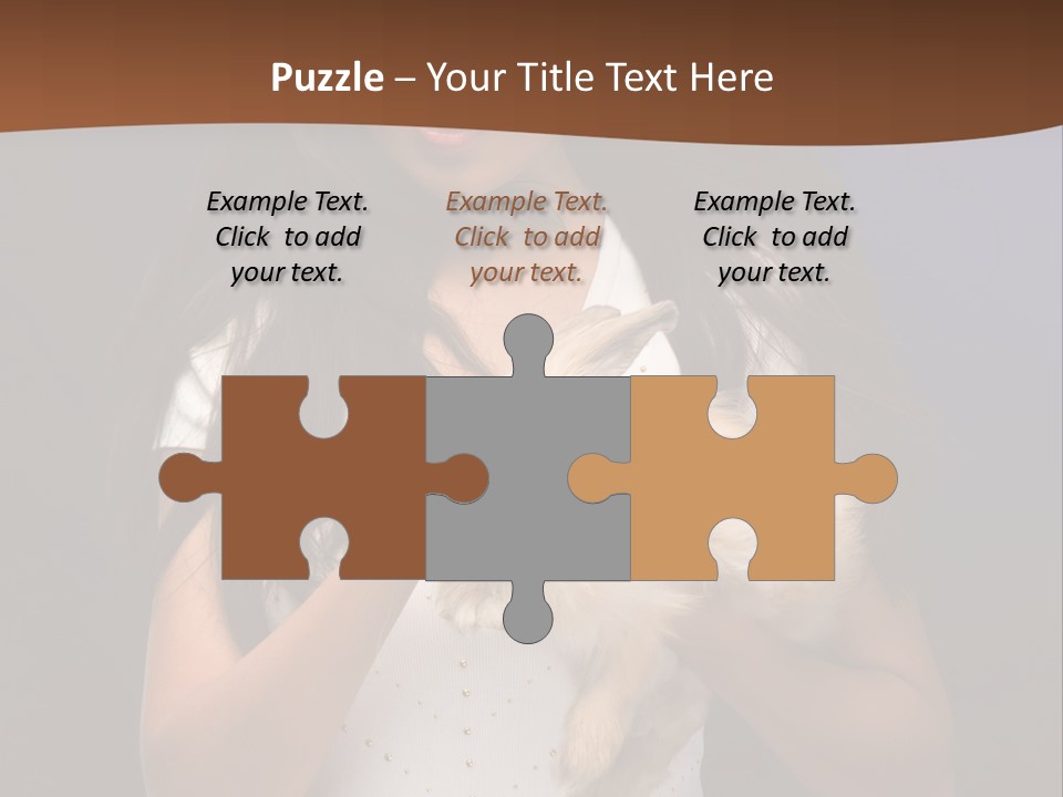 Fashion Domestic Symbol PowerPoint Template