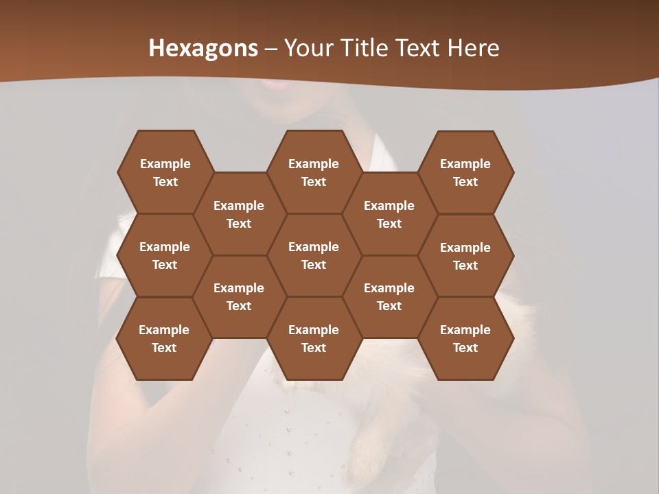 Fashion Domestic Symbol PowerPoint Template