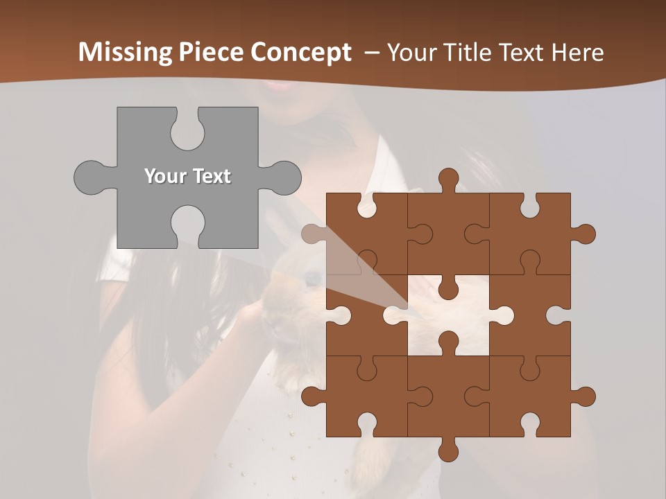 Fashion Domestic Symbol PowerPoint Template