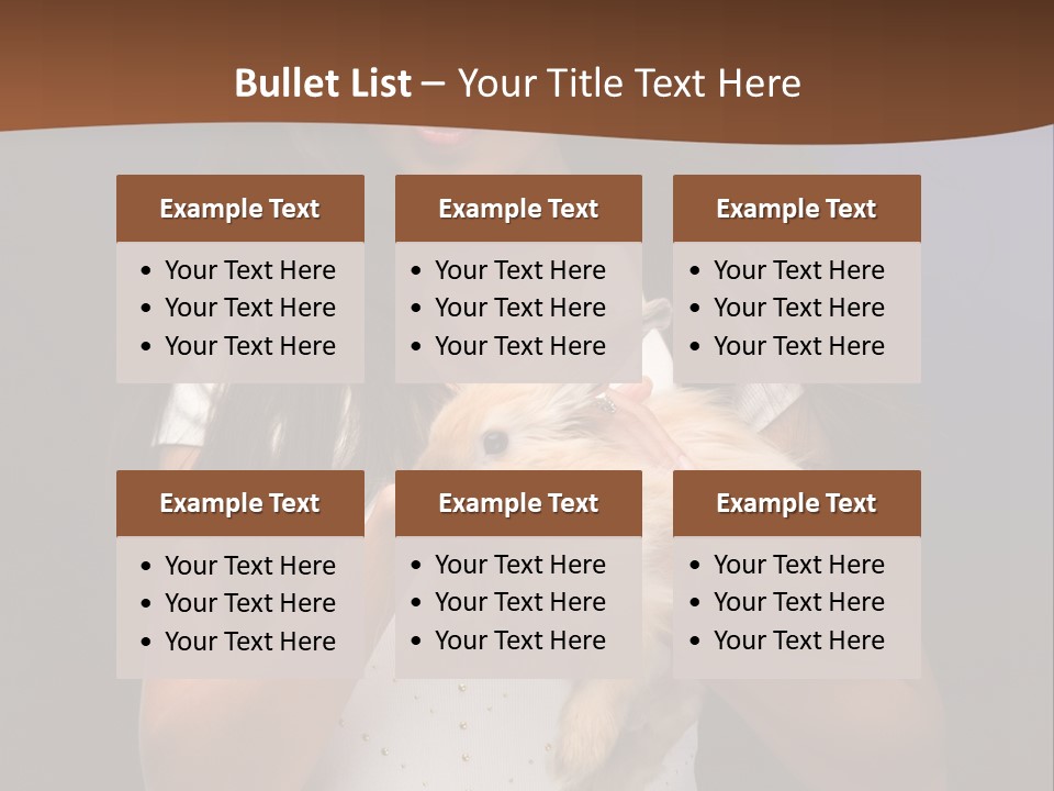 Fashion Domestic Symbol PowerPoint Template