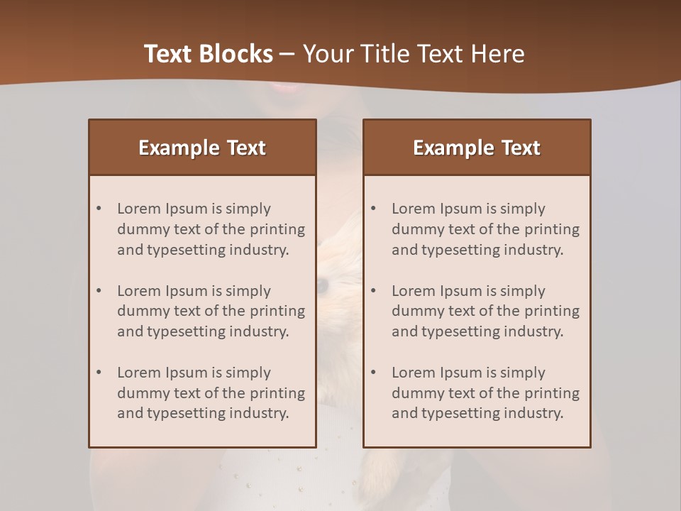 Fashion Domestic Symbol PowerPoint Template