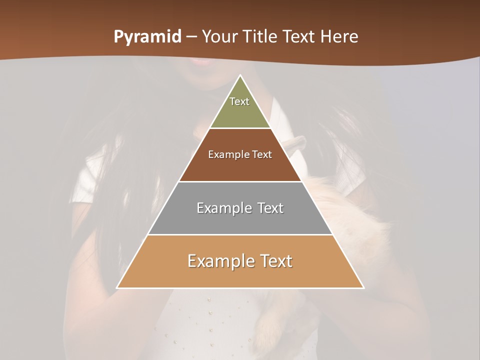 Fashion Domestic Symbol PowerPoint Template