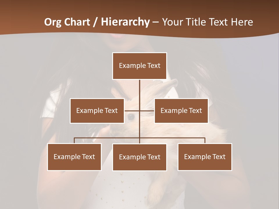 Fashion Domestic Symbol PowerPoint Template