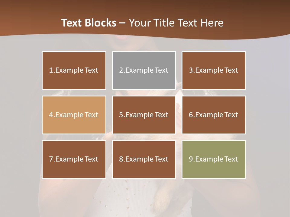 Fashion Domestic Symbol PowerPoint Template