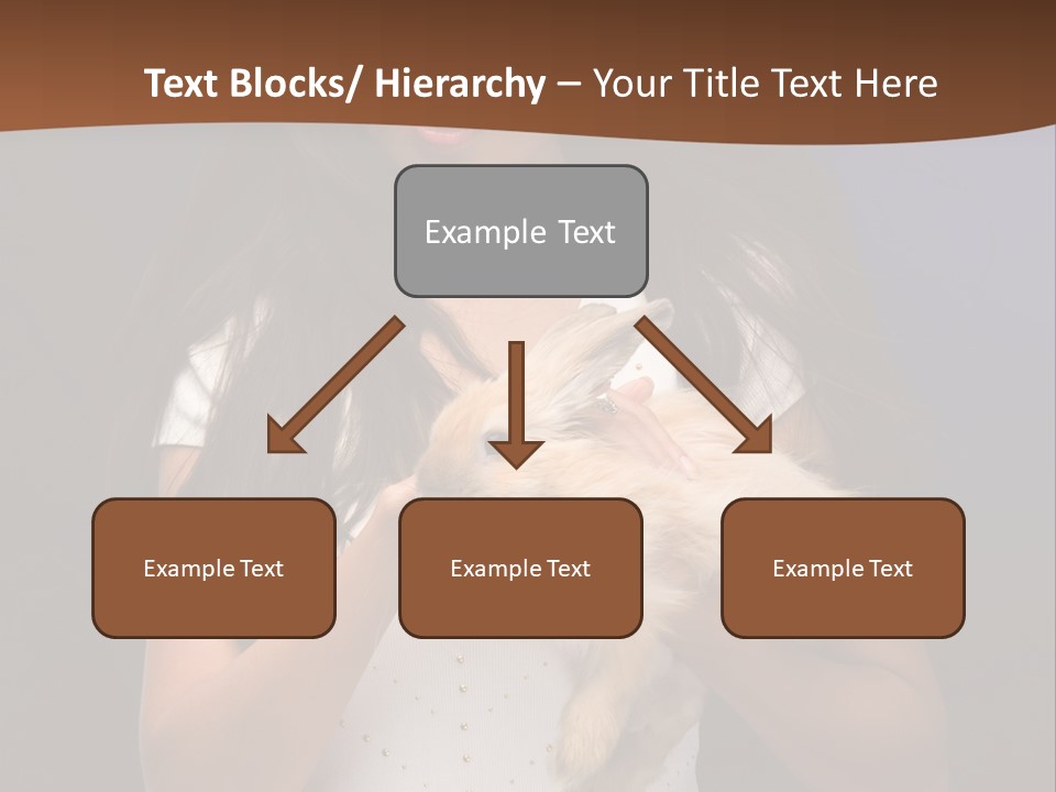 Fashion Domestic Symbol PowerPoint Template