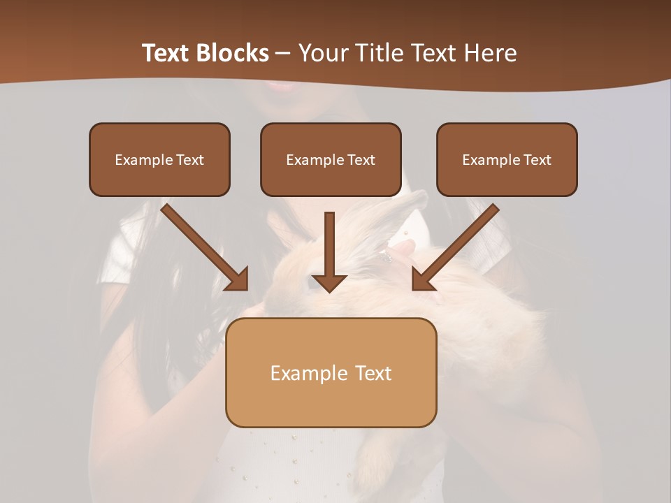 Fashion Domestic Symbol PowerPoint Template