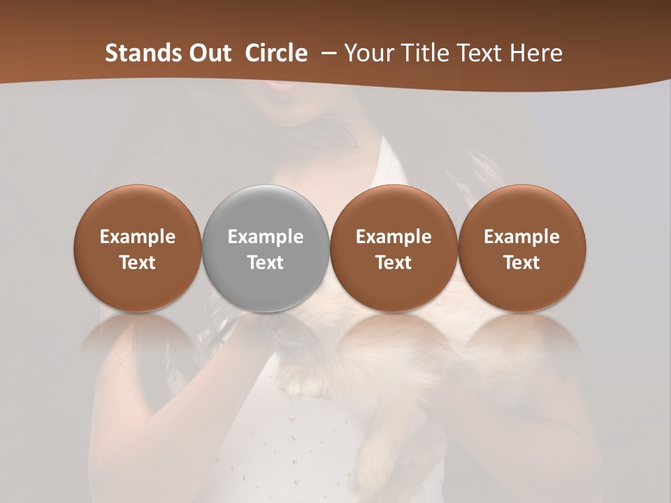 Fashion Domestic Symbol PowerPoint Template