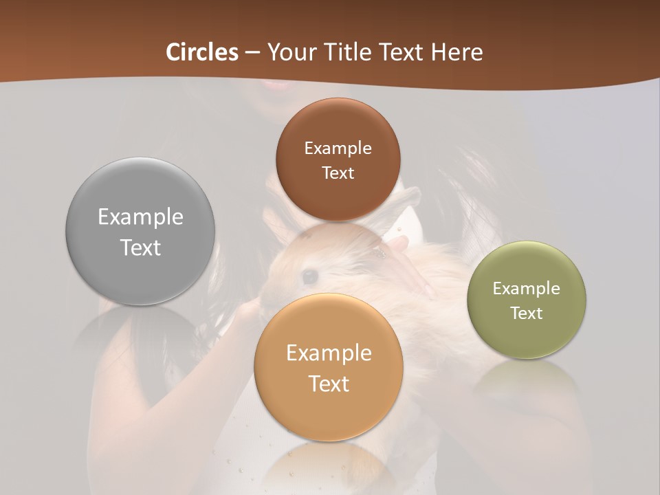 Fashion Domestic Symbol PowerPoint Template