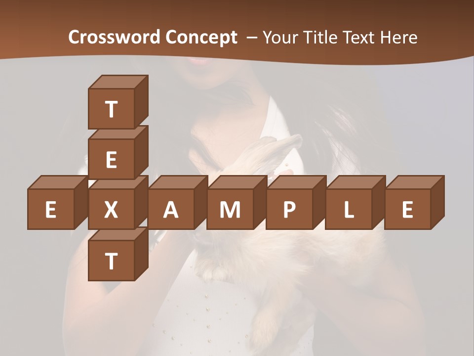 Fashion Domestic Symbol PowerPoint Template