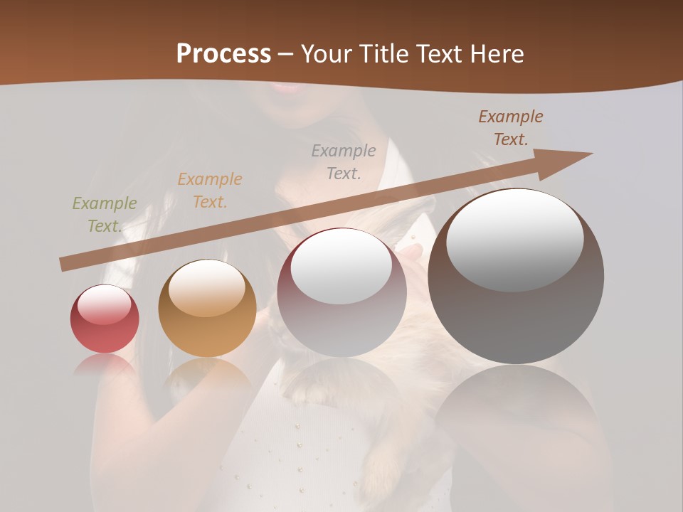 Fashion Domestic Symbol PowerPoint Template