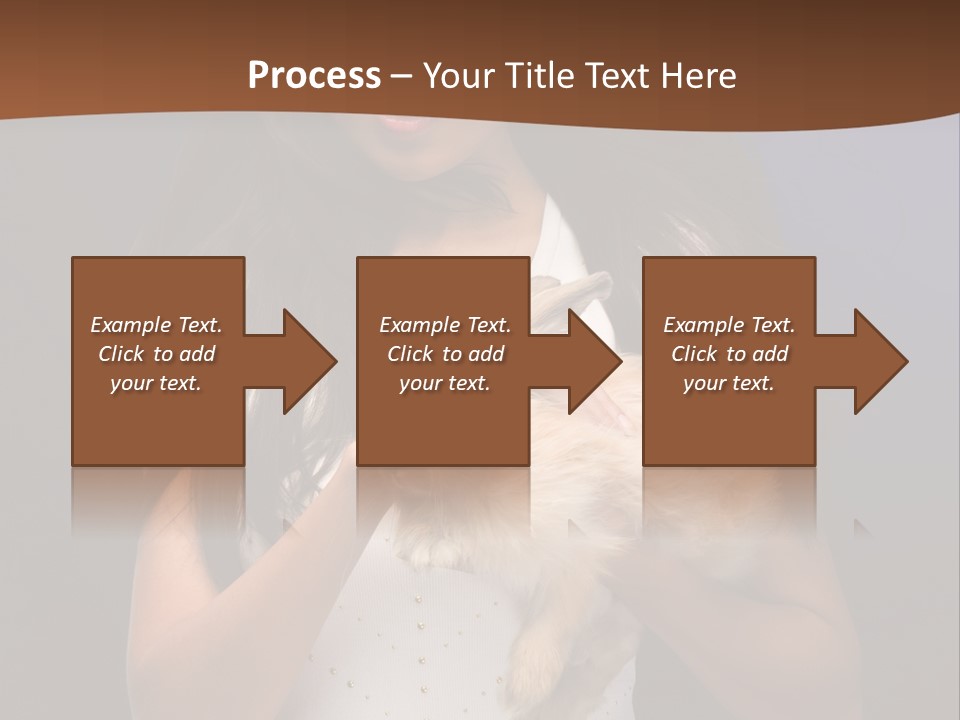 Fashion Domestic Symbol PowerPoint Template