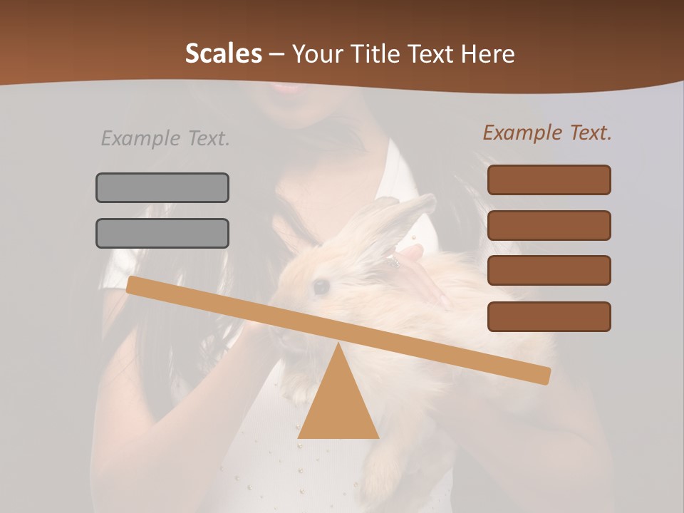 Fashion Domestic Symbol PowerPoint Template