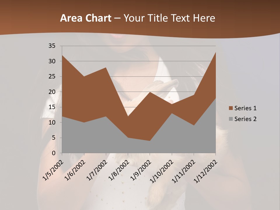 Fashion Domestic Symbol PowerPoint Template