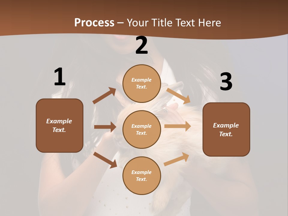 Fashion Domestic Symbol PowerPoint Template