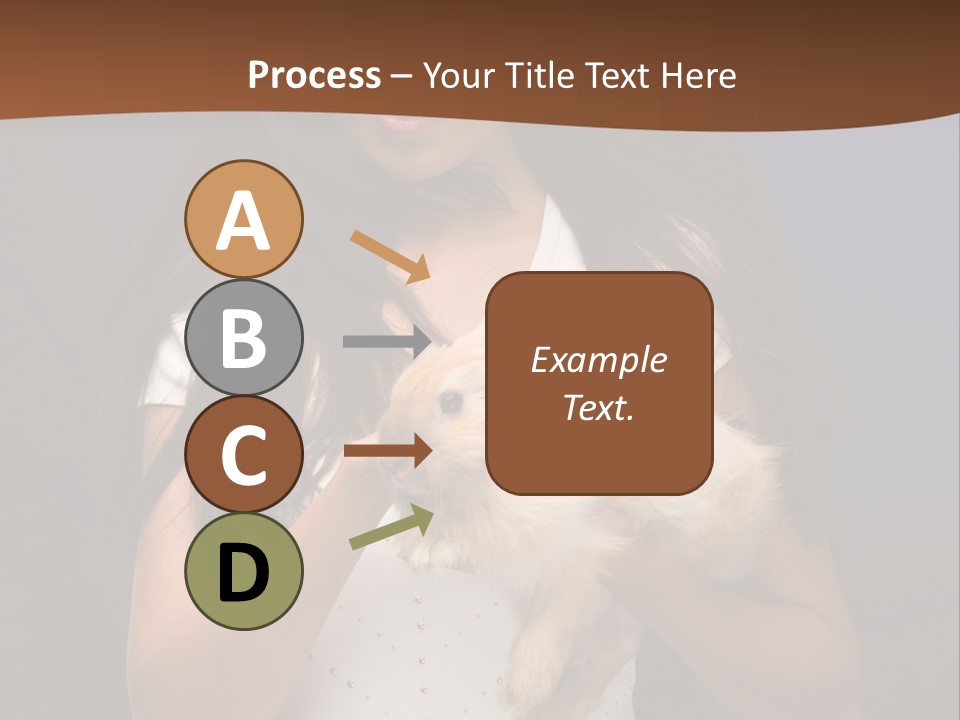 Fashion Domestic Symbol PowerPoint Template