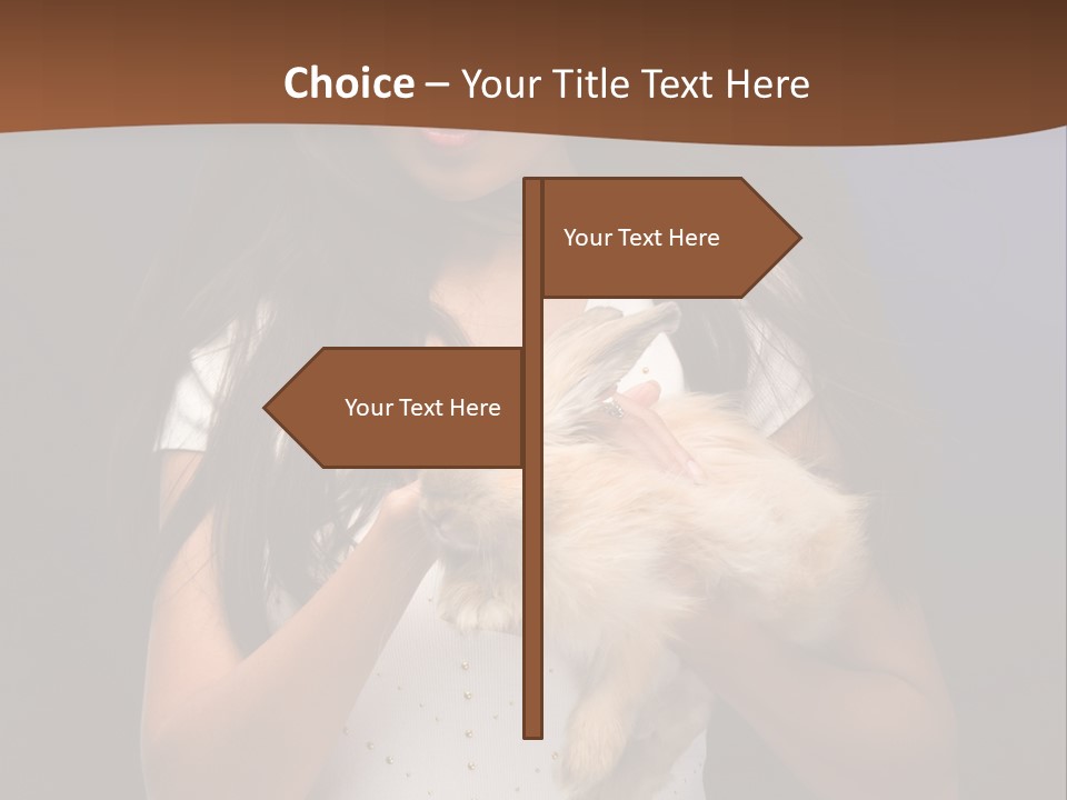 Fashion Domestic Symbol PowerPoint Template