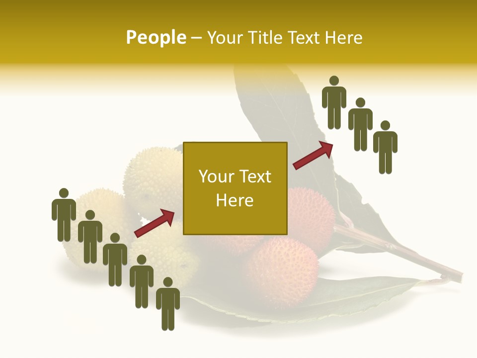 Forest Flower Fresh PowerPoint Template