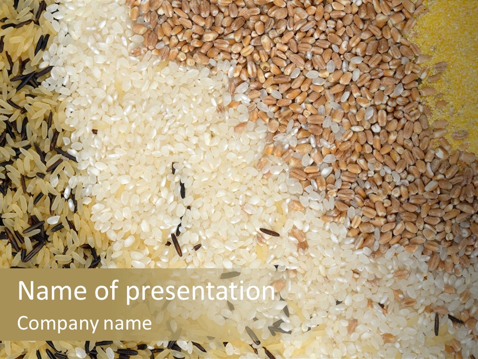 Wheat Agriculture Grind PowerPoint Template