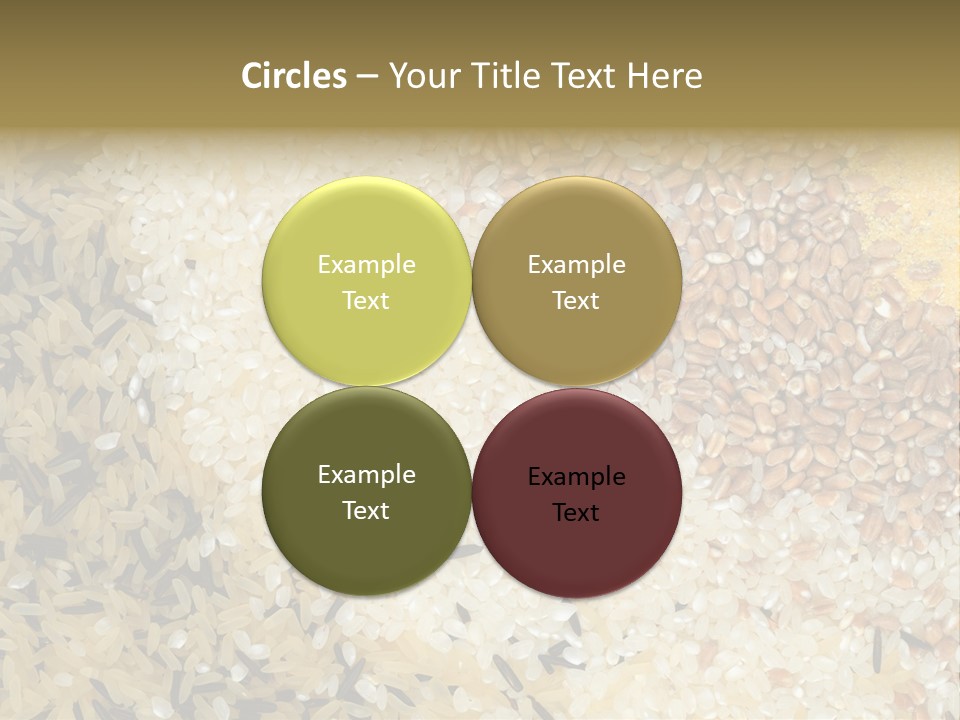 Wheat Agriculture Grind PowerPoint Template