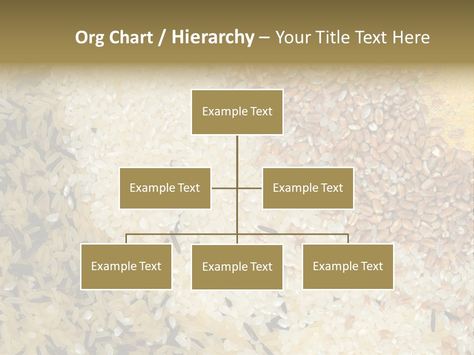 Wheat Agriculture Grind PowerPoint Template