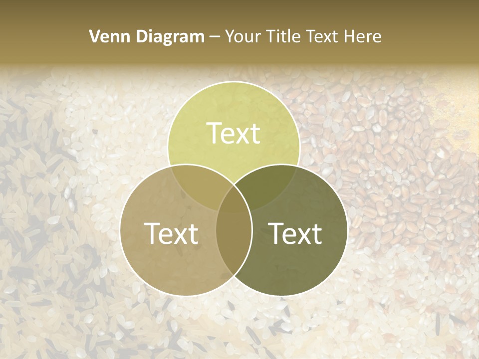 Wheat Agriculture Grind PowerPoint Template