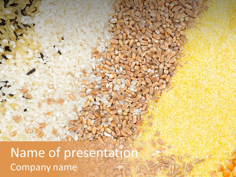 Seed Yeast Nutrition PowerPoint Template