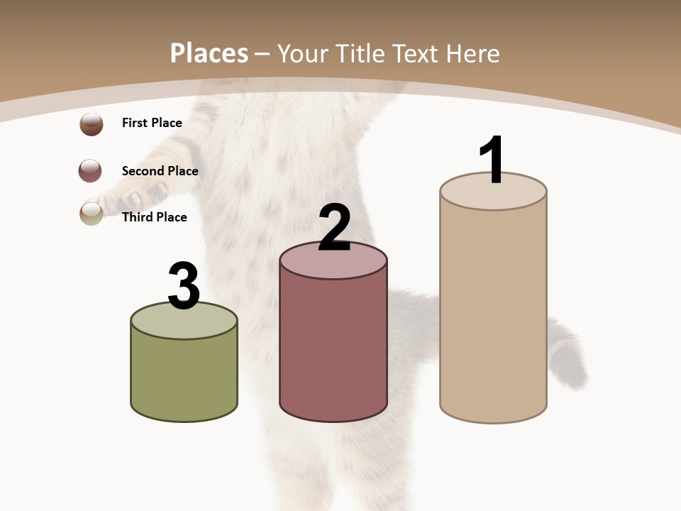 Striped Tabby Standing PowerPoint Template