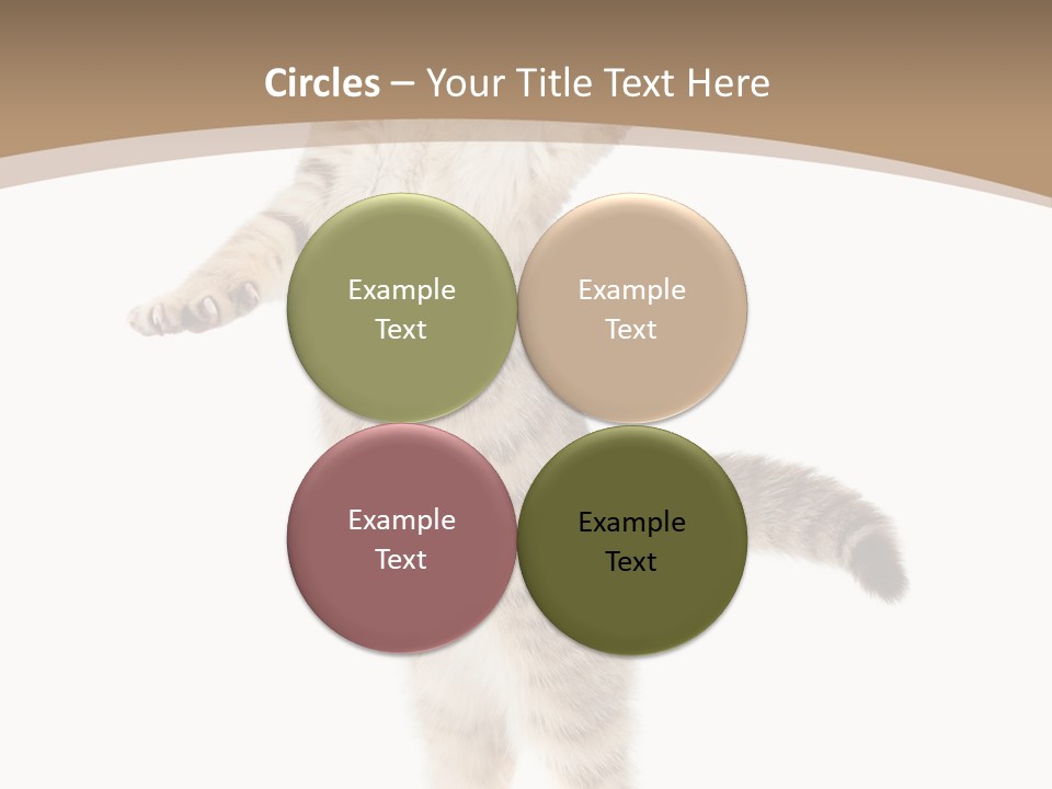 Striped Tabby Standing PowerPoint Template