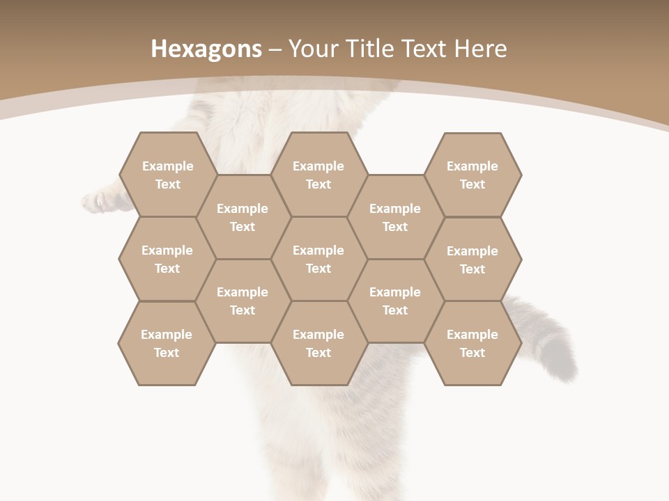 Striped Tabby Standing PowerPoint Template