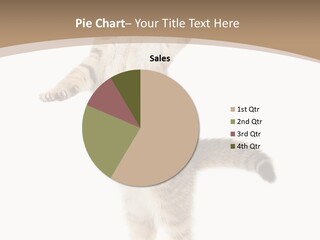 Striped Tabby Standing PowerPoint Template