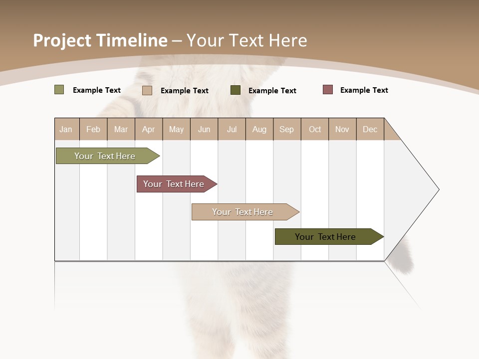 Striped Tabby Standing PowerPoint Template