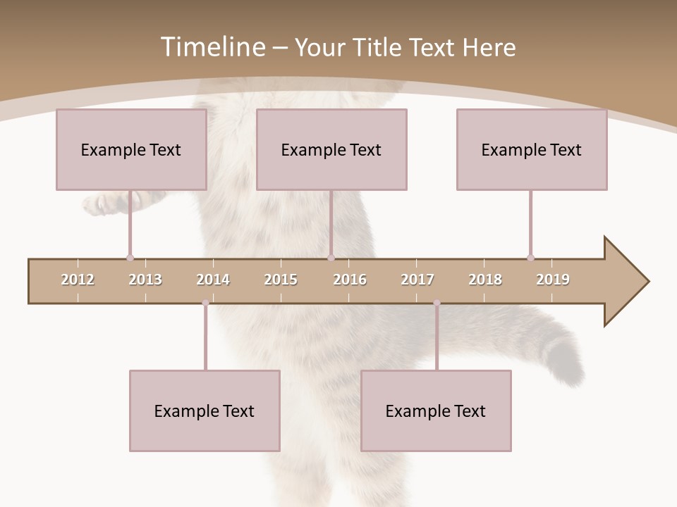 Striped Tabby Standing PowerPoint Template