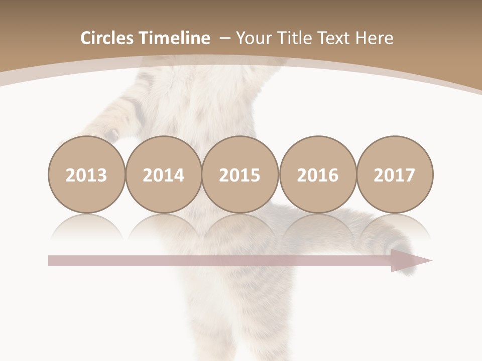Striped Tabby Standing PowerPoint Template