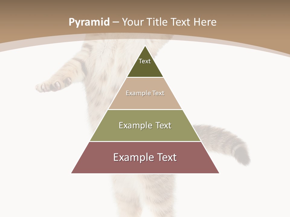 Striped Tabby Standing PowerPoint Template