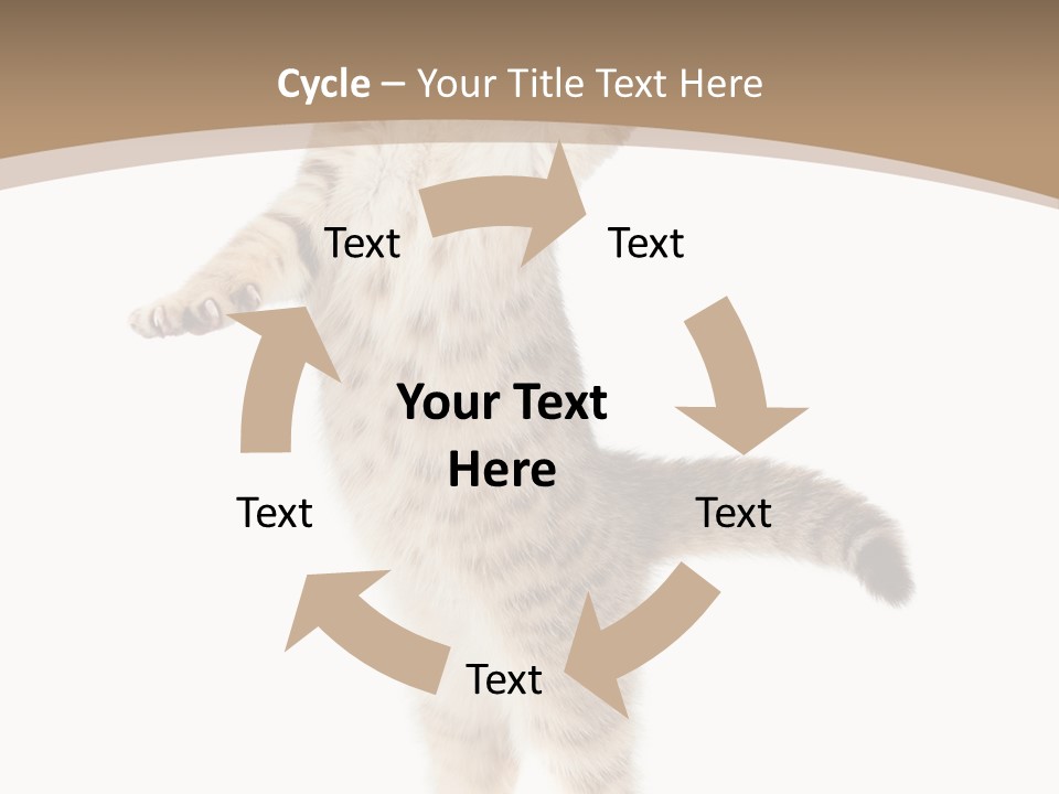 Striped Tabby Standing PowerPoint Template