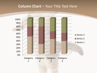 Striped Tabby Standing PowerPoint Template