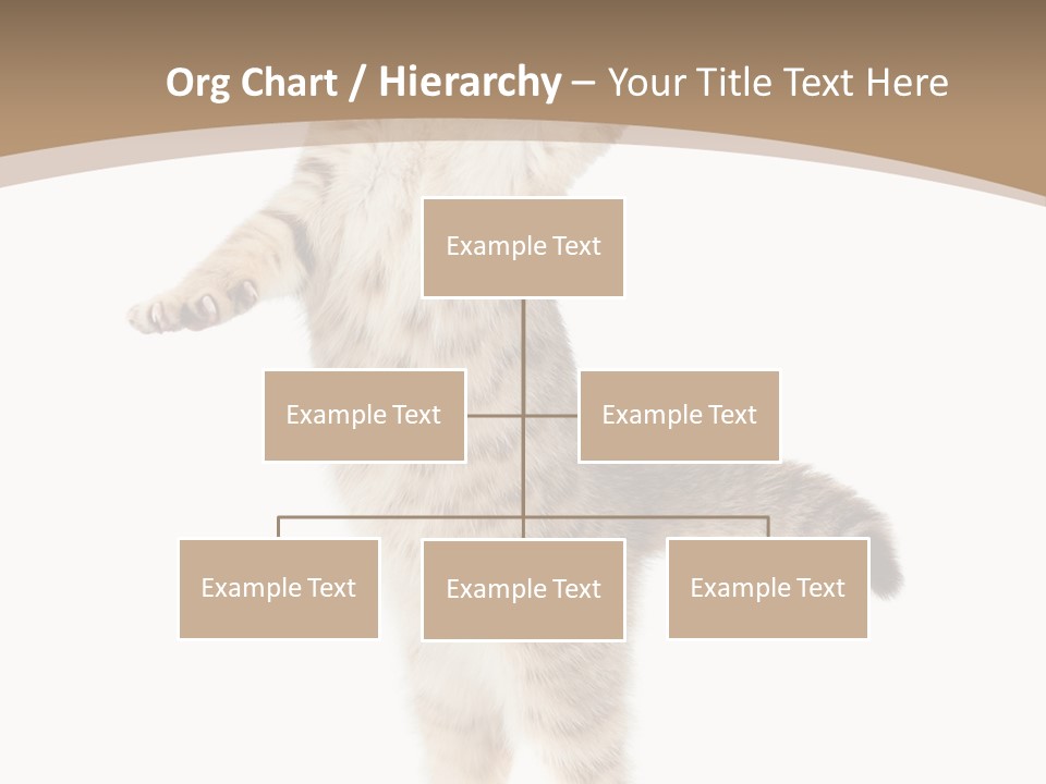 Striped Tabby Standing PowerPoint Template