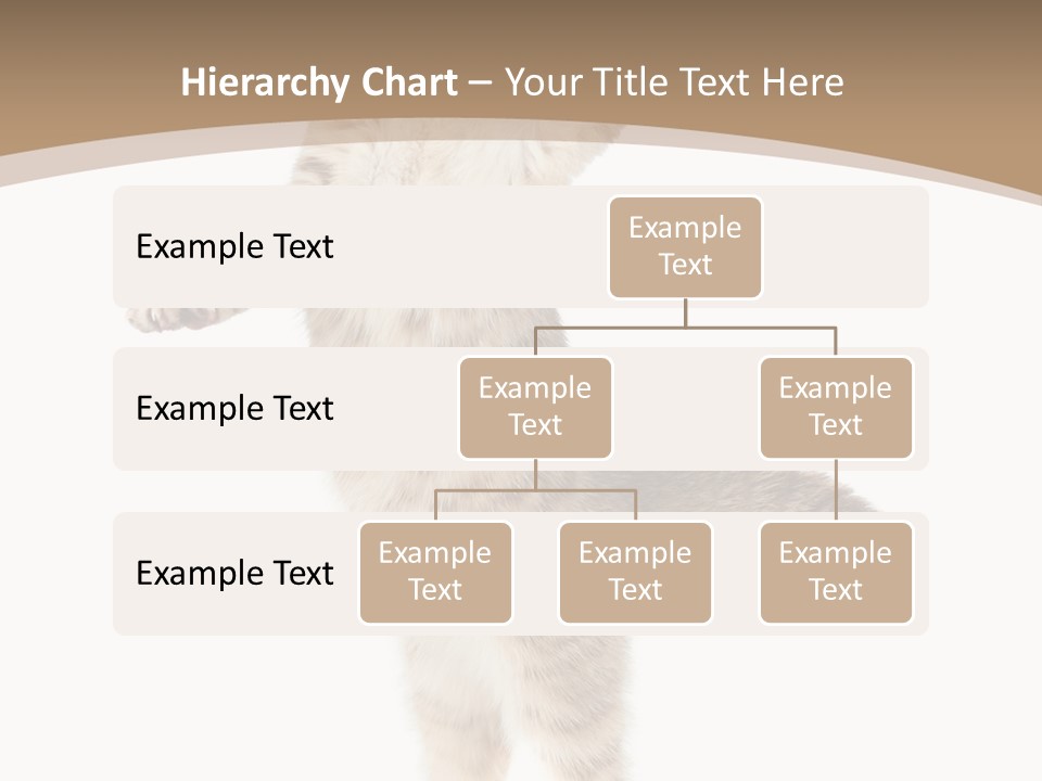 Striped Tabby Standing PowerPoint Template